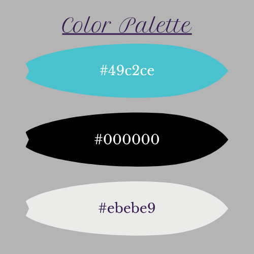 Driftline Co. color palette featuring turquoise, black, and soft gray tones on a neutral background.